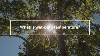 How dangerous are wet-bulb temperatures?