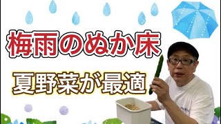 【梅雨のぬか床管理】腐敗菌、カビ防止　乳酸菌で腸活に夏野菜のぬか漬け