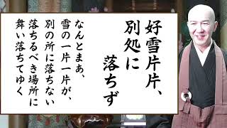 瞑想と音楽の会【16】雪は別の場所に落ちない「雪の華」～禅の心を知る～