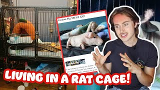 He Was Living in a RAT cage 😳 RESCUING a Hairless Guinea Pig