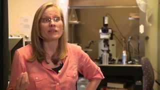 BrainHub Interview: Alison Barth