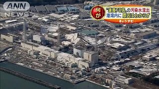 濃度70倍の汚染水流出　福島第一原発から湾内へ(15/02/23)