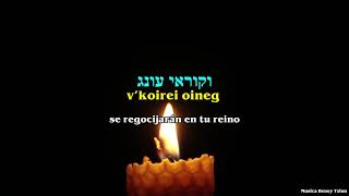 Yismeju יִשְׂמְחוּ (Shabat Kodesh) - Shlomo Katz שלמה כ\