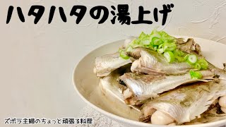 本編【ハタハタの湯上げ】保存版／１番美味しいハタハタの食べ方／ハタハタの味が１番分かる／１度食べたら沼にハマる／概要欄に材料の記載あり　#魚#ハタハタ#湯上げ#郷土料理#昆布出汁#１番美味しいハタハタ