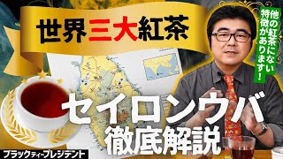 【世界三大紅茶】セイロン ウバを語る！他の紅茶にはない香りの特徴があります。【ミルクティーにおすすめ】