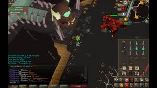 Cerberus with a twisted bow