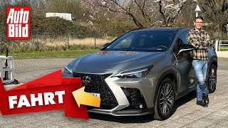 Lexus NX 350h F Sport (2022) | Neues SUV mit top Infotainment und entspanntem Fahrgefühl