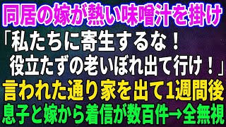 【スカッとする話】同居の嫁が熱い味噌汁を掛け「私たちに寄生するな！役立たずの老いぼれ出て行け！」言われた通り家を出て1週間後、息子と嫁から着信が数百件→全無視した結果