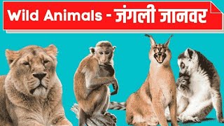 Wild Animals Name Hindi and English | जंगली जानवरों के नाम | Animals Names | Kids Videos