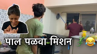 Mission पाल 🦎 😂बापरे मी तर खुप घाबरतो पाल ला 😭😆 धमाल vlog