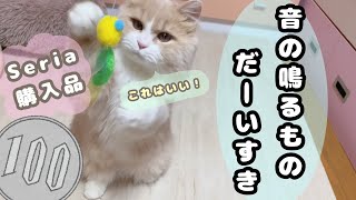 【猫釣れた】Seriaで猫用おもちゃ購入したので子猫と遊んでみた【大興奮】