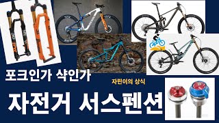 NSR, 자전거일반상식, 자전거 서스펜션, 자전거 샥, 자전거 포크, Bike shock, Bike fork, Bike Suspension, 산악용자전거,바이크샥