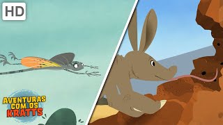 Aventuras com os Kratts - Aardvarks e lagartos voadores (Episódios Completos)