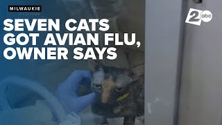 Milwaukie cat parent says seven of her cats caught the avian flu; one euthanized