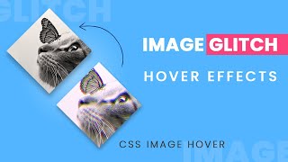 Glitch Effects on Hover Using Html & CSS | CSS Image Hover Effects