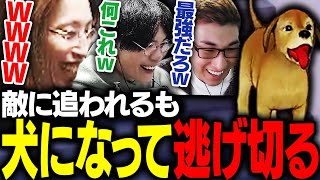 敵に追われるも犬になり逃げきる釈迦を見て爆笑する一同【HypeSquad】