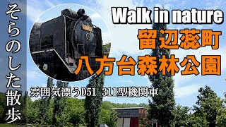 【自然を歩く】留辺蕊町八方台森林公園・雰囲気漂うD51 311型機関車（なかよし公園）