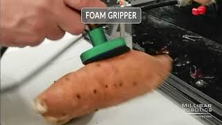 Millibar Foam Vacuum Gripper Food Handling, Potatoes