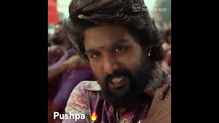 Pushpa Pushparaj 🔥🔥 #taggedele #pushpa