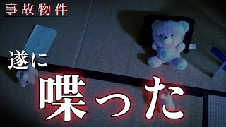 【事故物件】不審者に遭遇してから喋れなくなっていた彼が久々に口を開きました【心霊、ユーチューバー】YouTuber、霊視、呪物、幽霊と同居、霊、オカルト、同棲、座敷童子、座敷わらし