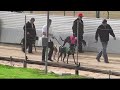 gunnedah 12062017 race 6