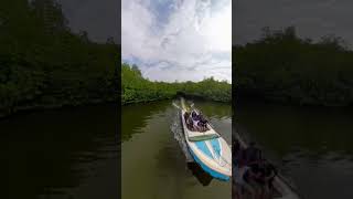 Discover Madu River, Sri Lanka. Enjoy a boat ride, explore mangroves, and embrace nature’s beauty. ❤