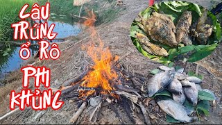 Câu Trúng Ổ Rô Phi Khủng Ngay Kênh Nước Ruộng Lúa Ngày Đầu Mùa Mưa #cauca #fishing #fishingvideo