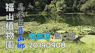 福山植物園、哈盆溪、馬口魚、山羌-20190908,FP065,1