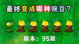 在95版植物大战僵尸中，豌豆连续穿过5个火炬，会发生什么？