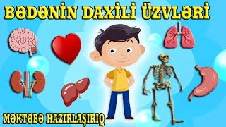 BƏDƏNİMİZİN DAXİLİ ÜZVLƏRİ - TANIYAQ VƏ ÖYRƏNƏK (Məktəbə Hazırlaşırıq)