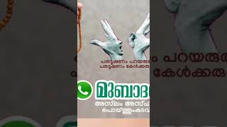 പരദൂഷണം പറയരുത്, കേൾക്കരുത് 👍🏻#shorts #nabi #islam #thoughts #speach