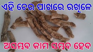 ଏହି ଚେର ପାଖରେ ରଖିଳେ ଅସମ୍ଭବ କାମ ସମ୍ଭବ ହେବ | vashikaran | Mohini | Mohini vashikaran Odia | Tec bigyan