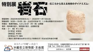 博物館特別展「岩石－石ころから見える地球のダイナミズム―」　CM2-6