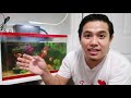 paano maglinis ng aquarium frequency of aquarium cleaning