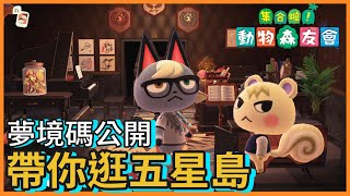 【動物森友會】五星島夢境碼大公開！ ｜5星島嶼日記 END｜Five Star Island in Animal Crossing