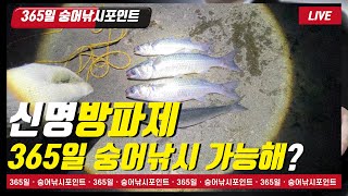 울산신명방파제 365일 숭어낚시가 가능해?※신명방파제※숭어낚시※생활낚시포인트※