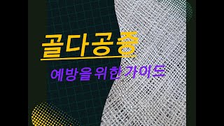 골다공증 예방을 위한 가이드