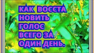 Как восстановить голос всего за один день!