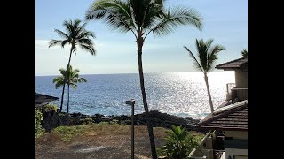 See Steffen is live! Monday sunset 🌅 Kona Hawai’i 🌋🐙🤙🦜🏄