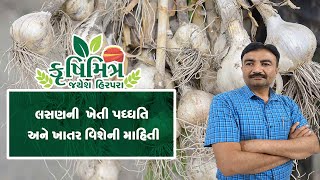 લસણની ખેતી પધ્ધતિ અને ખાતર વિશેની માહિતી