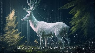 Magical Mysterious Forest | Calming The Mind, Soaring, Soothing with Flute Magical Sound