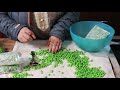 how to store green peas अगर आपकी मटर हो जाती है ख़राब तो ये वीडियो जरूर देखे homemade frozen peas