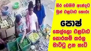 එළවළු සොරකමේ ගිහින්  මාට්ටු උන පොශ් කෙල්ලො..