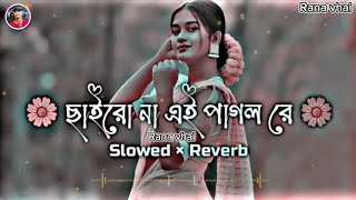 ছাইরো না এই পাগল রে (Slowed + Reverb) Chairo Na Ei Pagol Re | Shahrid Belal | Rana vhai