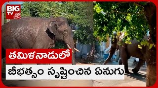 Elephant Hulchal In TamilNadu : తమిళనాడులో బీభత్సం సృష్టించిన ఏనుగు | BIG TV Telugu News Channel