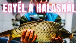 🔴EGYÉL A HALASNÁL A PIACON! 🦀🐟