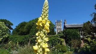 Rowallane Gardens, Saintfield,  Northern Ireland