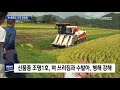 목포mbc 벼도 지역맞춤시대..태풍도 끄덕없다