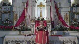 Live Daily Mass | All Saints Parish | 1.21.25