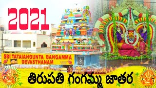 Tirupati tataiah gunta ganga jatara//తిరుపతి తాతయ్య గుంట గంగమ్మ జాతర//Tirupati gangamma jatara 2021